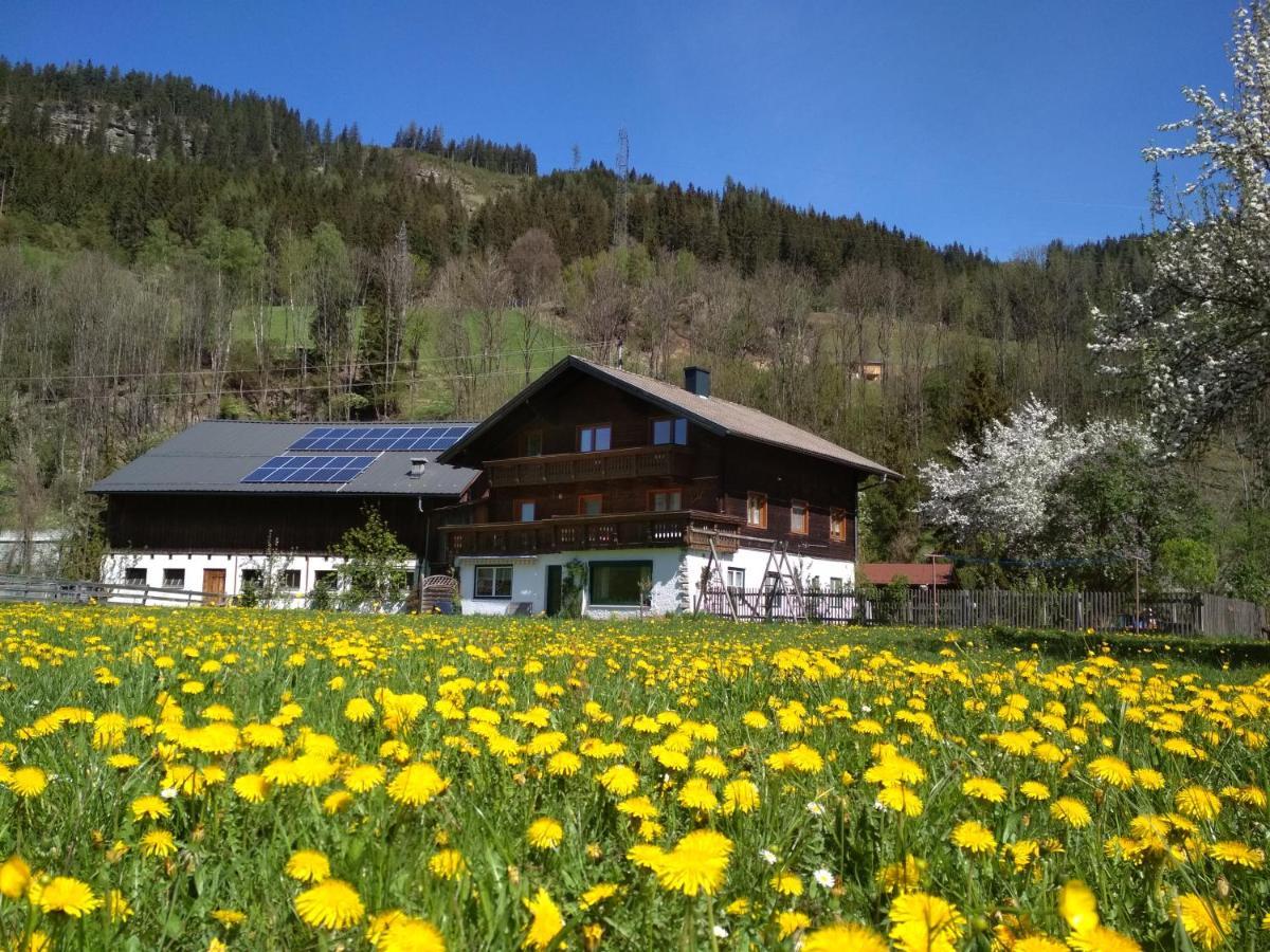 Blonbauer Villa Schladming Exterior foto