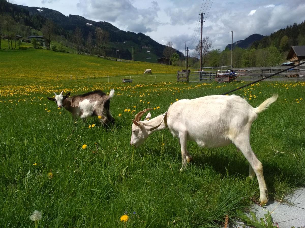 Blonbauer Villa Schladming Exterior foto